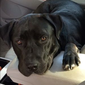 Meet your Posher, Pam